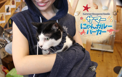 Illustration for article titled Embrace Your Inner Crazy Cat Person With This Kitty-Carrying Hoodie